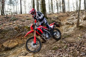 خرید و سواری با موتور سیکلت کلاس تریل همتاز موتور