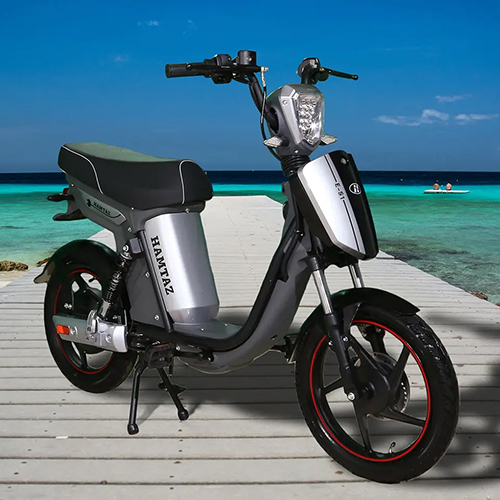 موتور برقی همتاز HAMTAZ EM 800