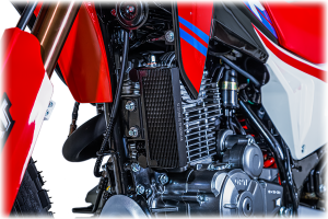 موتور سیکلت فلات تریل FALAT TRAIL XR 250