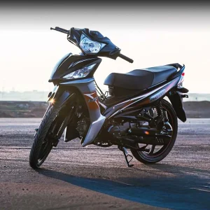 موتور سیکلت پانیک 135 همتاز