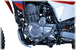 موتور سیکلت فلات تریل FALAT TRAIL XR 250