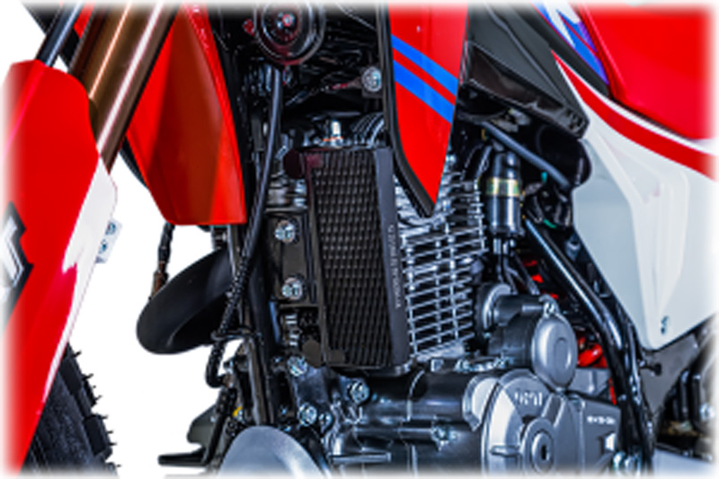 موتور سیکلت تریل فلات ADV XR 250