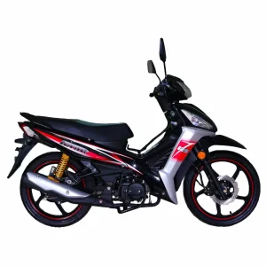 موتور سیکلت پانیک 135 همتاز