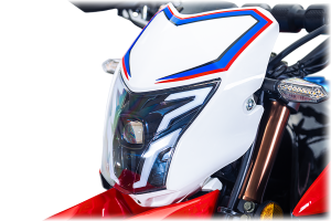 موتور سیکلت فلات تریل FALAT TRAIL XR 250